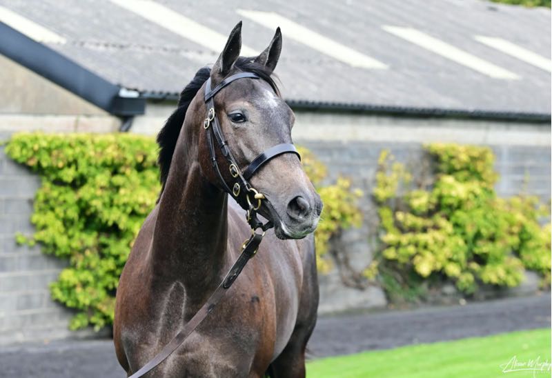 Lot 207, Gregorian – Ach Alannah
